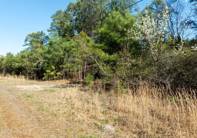 17th image of Lot 14 Brickyard Rd, Hampstead, NC 28443 | MLS# 100559861