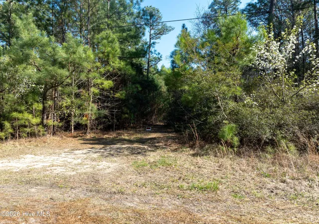 2nd image of Lot 14 Brickyard Rd, Hampstead, NC 28443 | MLS# 100559861