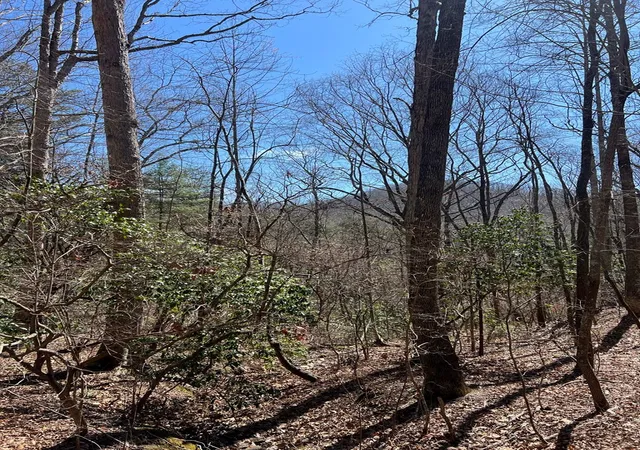 Photo 19 of Land for sale at Lot 17 Panorama Dr Wolf Mountain Ests, Murphy, NC 28906 | MLS# 98544520 | Listing updated on 2026-07-21