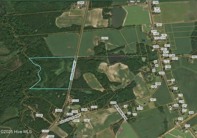 Homes for sale in Ingold, NC | 0 Garland Hwy, Ingold, NC 28441 | MLS# 100539276
