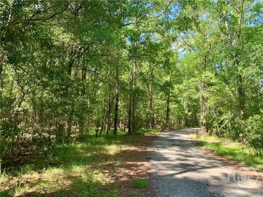 Photo 1 of Land for sale at Lot 016 Lake No Rd, Midway, GA 31320 | MLS# SA365739 | Listing updated on 2026-10-06