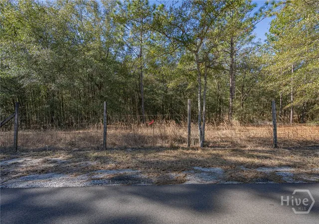 Homes for sale in Eden, GA | 164 Holly Dr, Eden, GA 31307 | MLS# SA346247