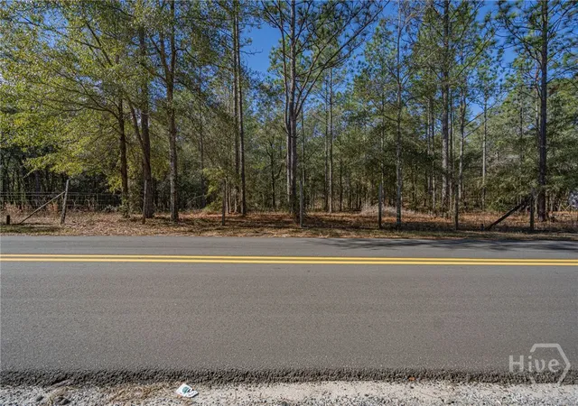 Homes for sale in Eden, GA | 164 Holly Dr, Eden, GA 31307 | MLS# SA346247