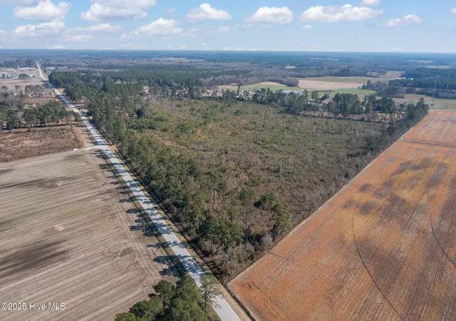 Photo 2 of Land for sale at 0 Nc 58 N, Trenton, NC 28585 | MLS# 100538024 | Listing updated on 2026-08-31