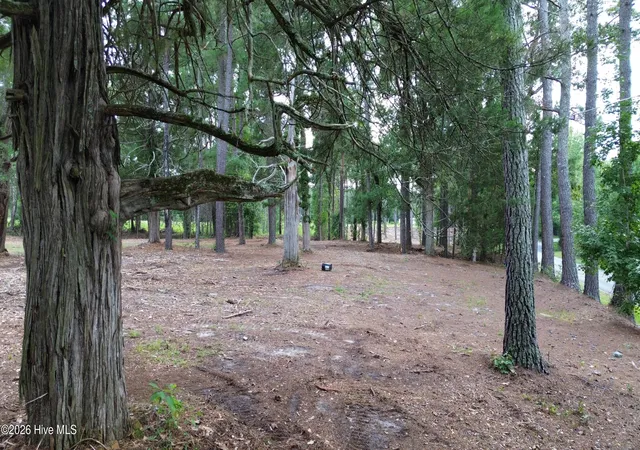 Photo 3 of Land for sale at Tbd/lot 3 Elmore, Laurinburg, NC 28352 | MLS# 100599984 | Listing updated on 2026-08-31