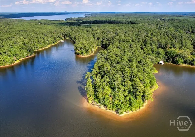 Homes for sale in Tignall, GA | 1309 Shimmering Water Cvs, Tignall, GA 30668 | MLS# CL351830