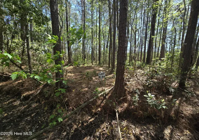 3rd image of Lot B-30 Renee Dr, Hampstead, NC 28443 | MLS# 100567161