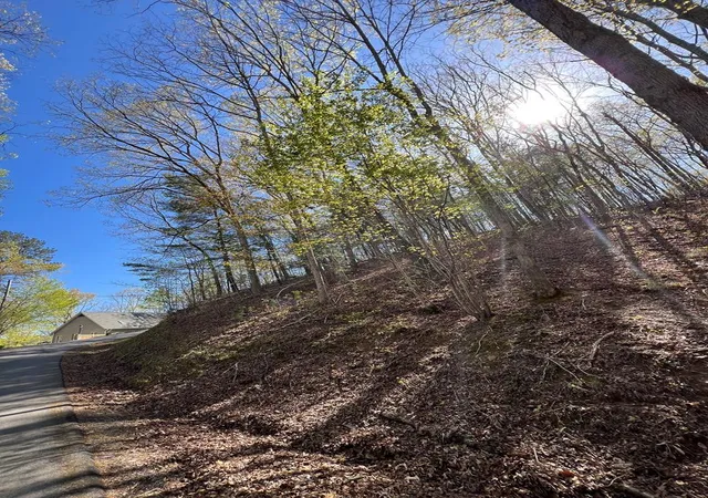 Photo 1 of Land for sale at Lot 2 Lonesome Pine, Murphy, NC 28906 | MLS# 98544200 | Listing updated on 2026-06-01