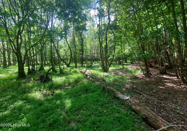 24th image of 000 Harrell Rd, Burgaw, NC 28425 | MLS# 100568957
