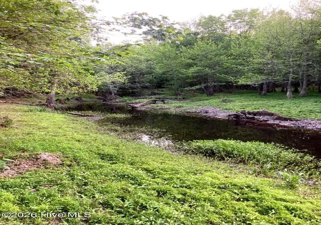 Photo 3 of Land for sale at 000 Harrell Rd, Burgaw, NC 28425 | MLS# 100568957 | Listing updated on 2026-09-04