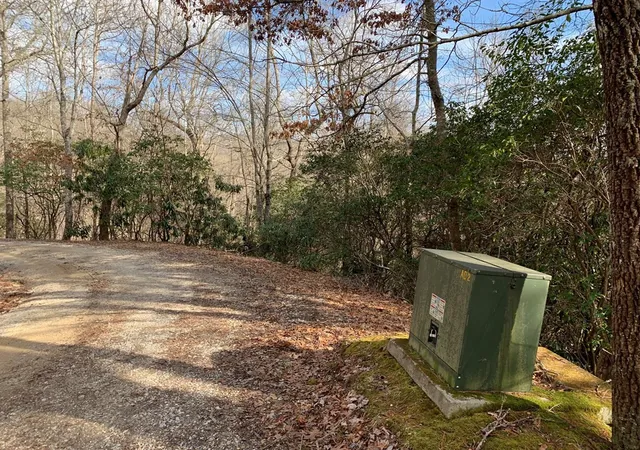 Homes for sale in Nantahala, NC | Lot# 10 Forest Vista Ln, Nantahala, NC 28781 | MLS# 98544397