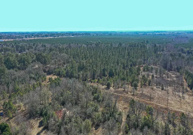 Photo 4 of Land for sale at 000 Highway 78, Williston, SC 29853 | MLS# 98254552 | Listing updated on 2026-08-18