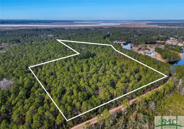 Photo 4 of Land for sale at 0 Steeple Chase Ln, Richmond Hill, GA 31324 | MLS# SA302242 | Listing updated on 2026-10-07