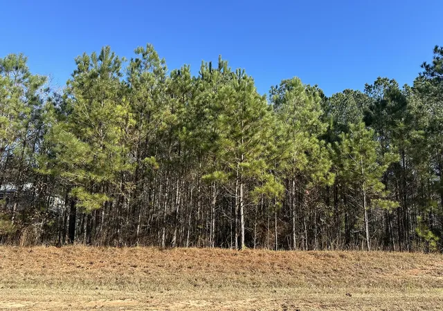 1st image of Lot 62 Wisteria Dr, Lincolnton, GA 30817 | MLS# 98254467
