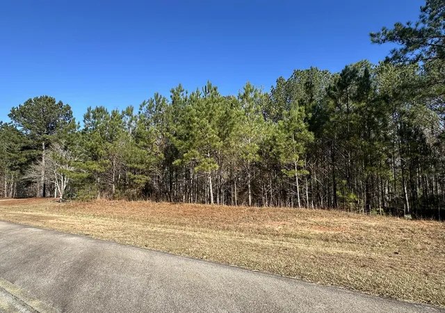 3rd image of Lot 62 Wisteria Dr, Lincolnton, GA 30817 | MLS# 98254467