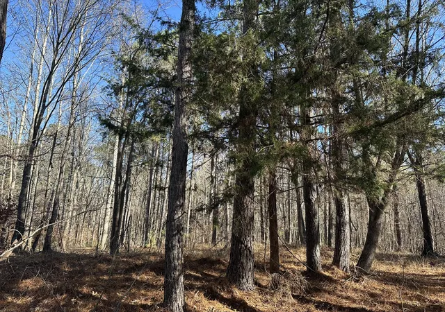 4th image of Lot 62 Wisteria Dr, Lincolnton, GA 30817 | MLS# 98254467