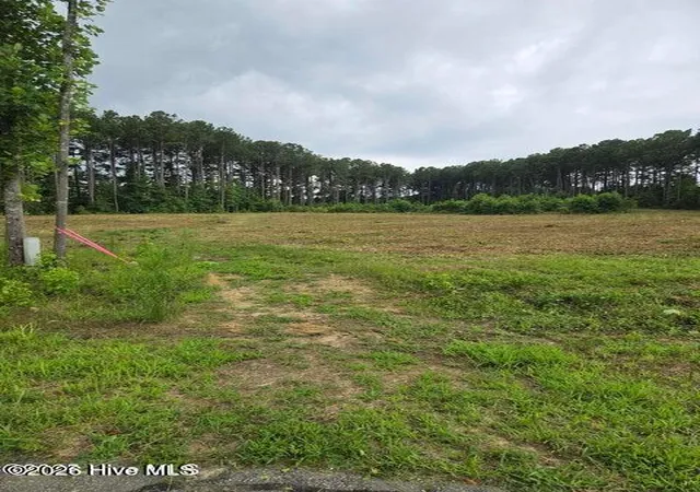 Photo 1 of Land for sale at Lot 51 Roseheath Ct, Bailey, NC 27807 | MLS# 100592345 | Listing updated on 2026-08-18