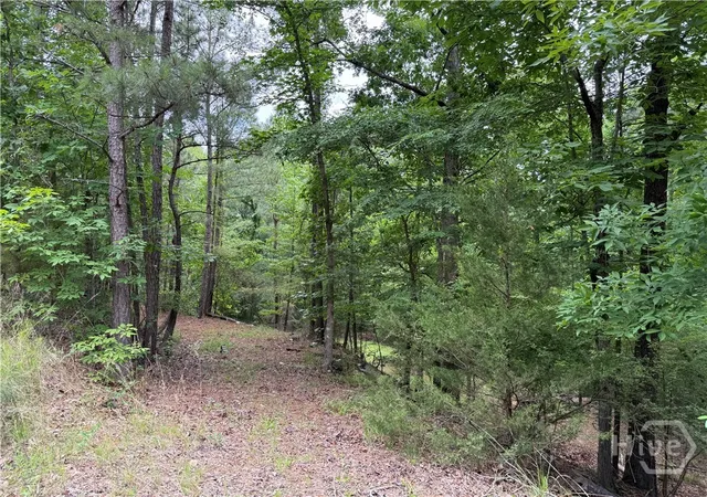 Homes for sale in Elberton, GA | Lot 32 Bramlett Cr, Elberton, GA 30635 | MLS# CL356074