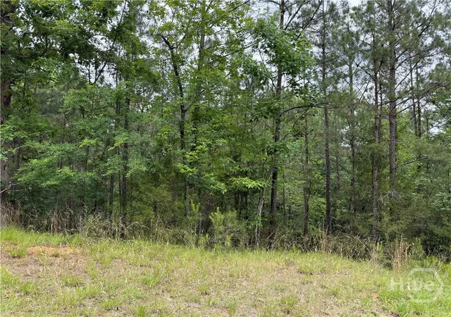 Homes for sale in Elberton, GA | Lot 32 Bramlett Cr, Elberton, GA 30635 | MLS# CL356074