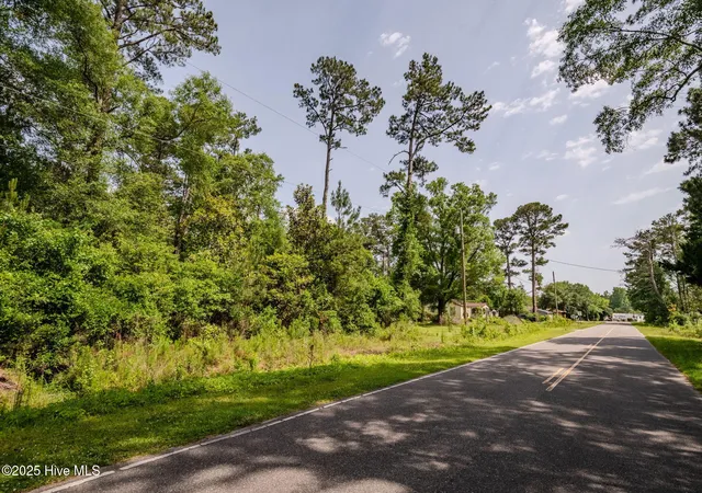 Homes for sale in Castle Hayne, NC | 3014 Oakley Cir, Castle Hayne, NC 28429 | MLS# 100564883