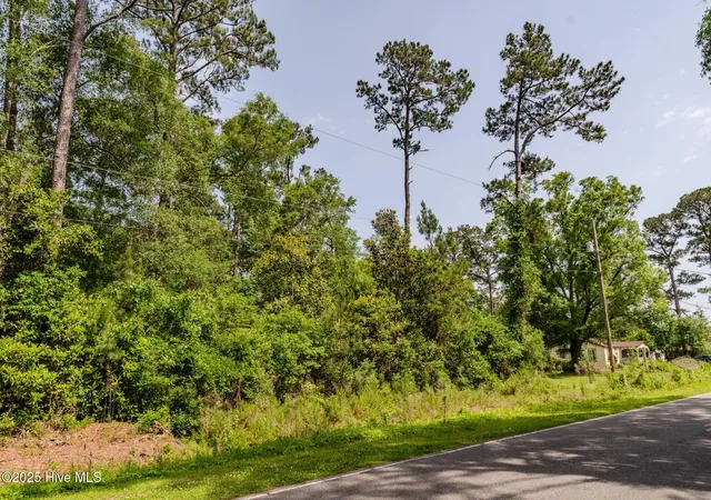 Homes for sale in Castle Hayne, NC | 3014 Oakley Cir, Castle Hayne, NC 28429 | MLS# 100564883