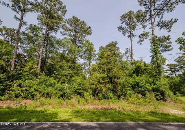 4th image of 3014 Oakley Cir, Castle Hayne, NC 28429 | MLS# 100564883