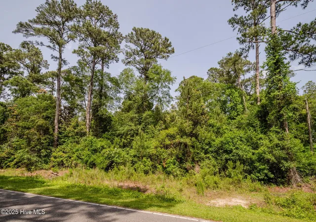 5th image of 3014 Oakley Cir, Castle Hayne, NC 28429 | MLS# 100564883