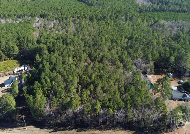 Homes for sale in Springfield, GA | 0 Hwy 21 N, Springfield, GA 31329 | MLS# SA349590
