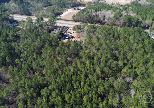 Homes for sale in Springfield, GA | 0 Hwy 21 N, Springfield, GA 31329 | MLS# SA349590