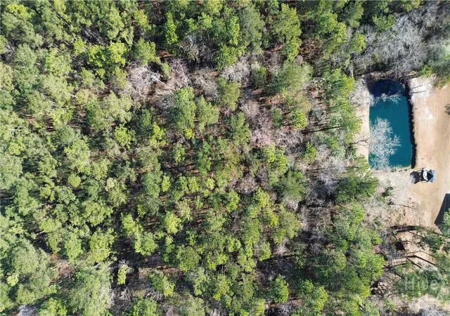 Homes for sale in Springfield, GA | 0 Hwy 21 N, Springfield, GA 31329 | MLS# SA349590