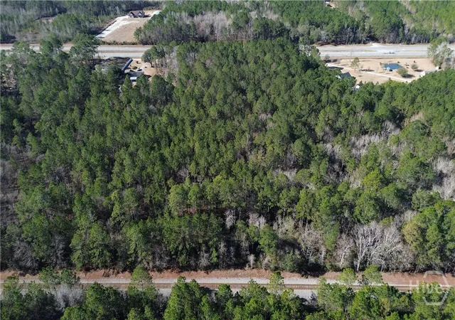 Homes for sale in Springfield, GA | 0 Hwy 21 N, Springfield, GA 31329 | MLS# SA349590