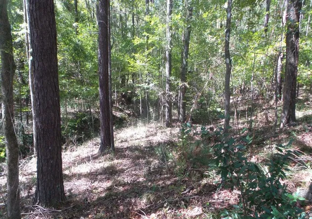 4th image of 0 Kelly St, Lincolnton, GA 30817 | MLS# 98254474