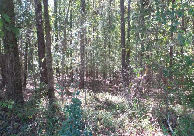 9th image of 0 Kelly St, Lincolnton, GA 30817 | MLS# 98254474