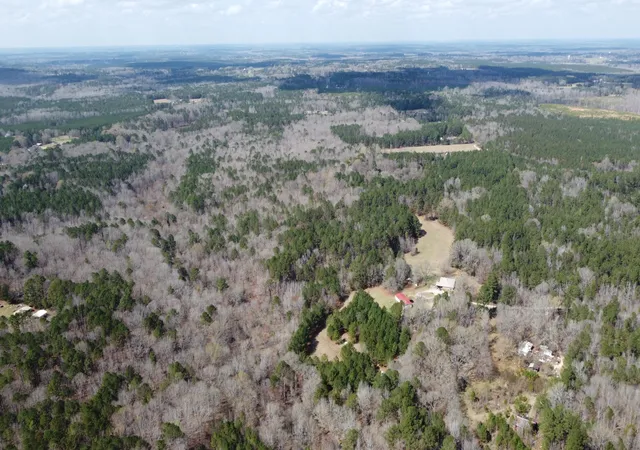 2nd image of 272 Ac John Lewis Dr, Lincolnton, GA 30817 | MLS# 98254722