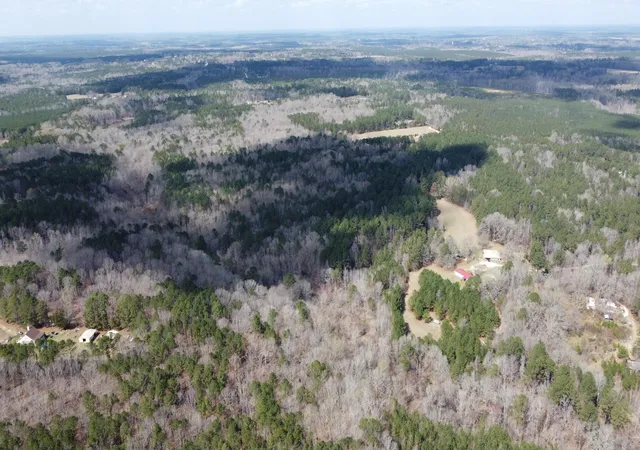 3rd image of 272 Ac John Lewis Dr, Lincolnton, GA 30817 | MLS# 98254722