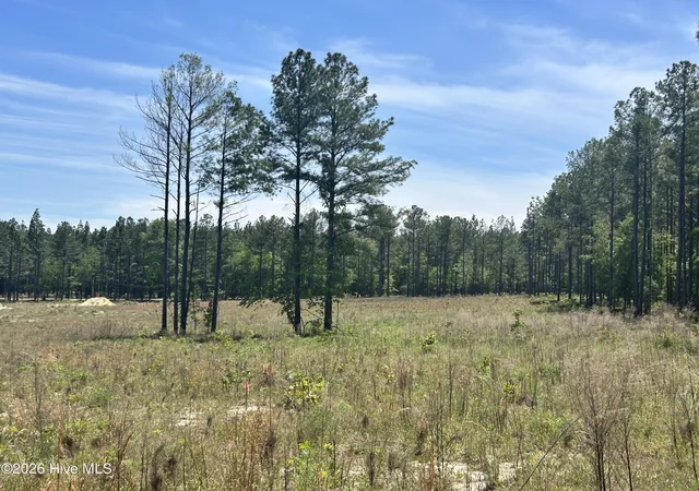 Photo 3 of Land for sale at 461 Lally Cir, Aberdeen, NC 28315 | MLS# 100589106 | Listing updated on 2026-07-15