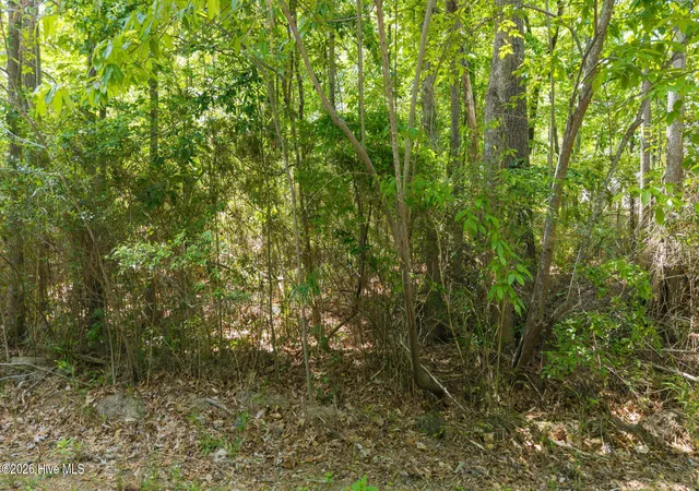 Photo 3 of Land for sale at 106 Shropshire Ln, West End, NC 27376 | MLS# 100572353 | Listing updated on 2026-05-08