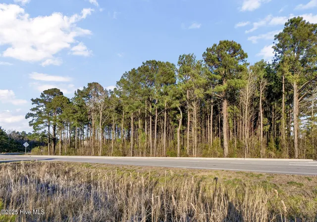 8th image of Pt L6 210 Hwy, Sneads Ferry, NC 28460 | MLS# 100526628