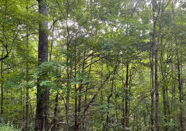 Homes for sale in Brasstown, NC | Lot 13 The Preserve, Brasstown, NC 28902 | MLS# 98524215