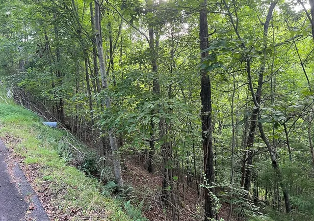 Homes for sale in Brasstown, NC | Lot 13 The Preserve, Brasstown, NC 28902 | MLS# 98524215