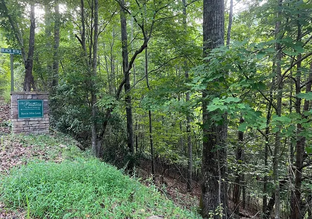 Homes for sale in Brasstown, NC | Lot 13 The Preserve, Brasstown, NC 28902 | MLS# 98524215