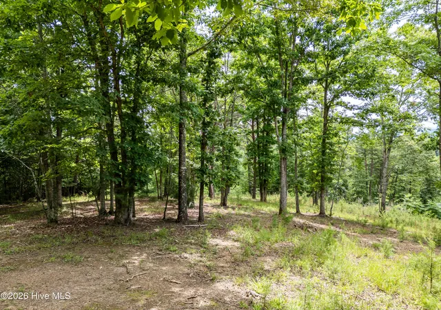 Homes for sale in Brasstown, NC | 1 Stormy Rdg, Brasstown, NC 28902 | MLS# 100584773