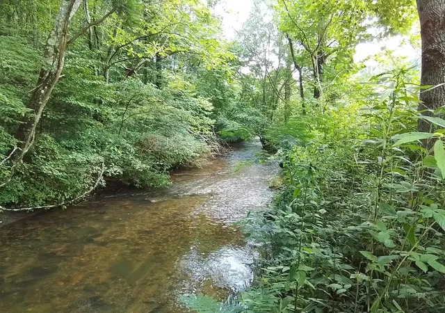 Photo 1 of Land for sale at 1378s Morrow Rd, Murphy, NC 28906 | MLS# 98525378 | Listing updated on 2026-08-16