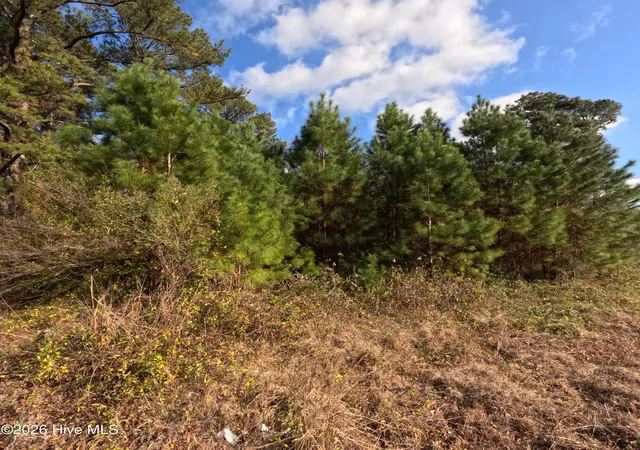 5th image of 353 Piney Green Rd, Jacksonville, NC 28546 | MLS# 100556205