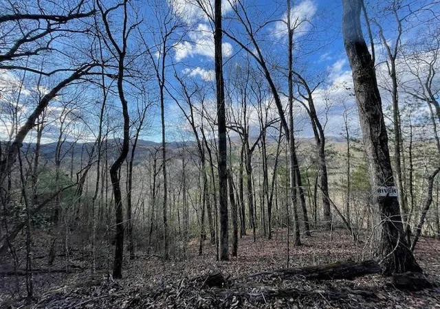Photo 3 of Land for sale at Lt 75E&F Turkey Walk Dr, Marble, NC 28905 | MLS# 98525021 | Listing updated on 2026-07-21