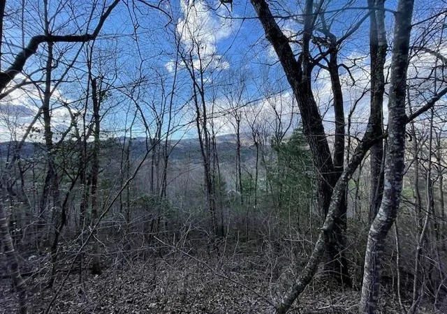 Photo 4 of Land for sale at Lt 75E&F Turkey Walk Dr, Marble, NC 28905 | MLS# 98525021 | Listing updated on 2026-07-21