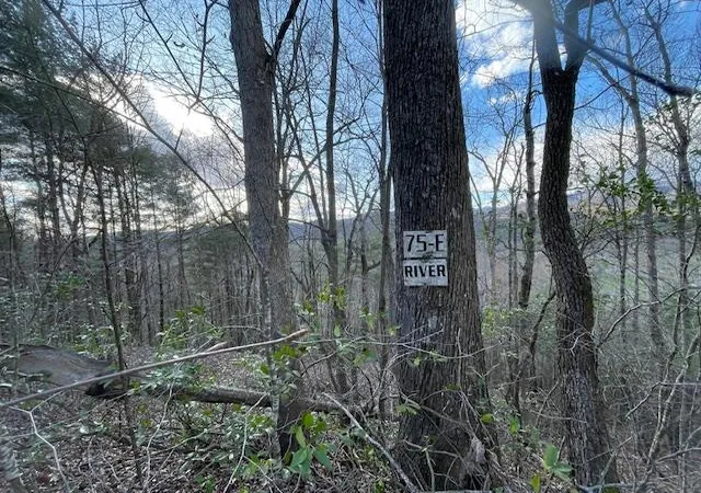 Photo 5 of Land for sale at Lt 75E&F Turkey Walk Dr, Marble, NC 28905 | MLS# 98525021 | Listing updated on 2026-07-21