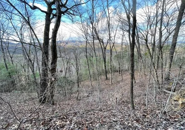 Photo 6 of Land for sale at Lt 75e&f Turkey Walk Dr, Marble, NC 28905 | MLS# 98525021 | Listing updated on 2026-07-21