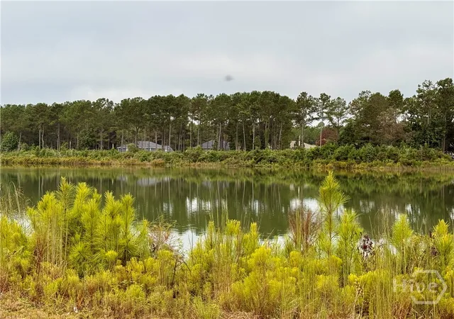 Photo 3 of Land for sale at 1550 Belfast River Rd, Richmond Hill, GA 31324 | MLS# SA340238 | Listing updated on 2026-07-07