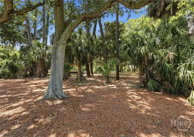 Photo 4 of Land for sale at 32 Seawatch Dr, Savannah, GA 31411 | MLS# SA358838 | Listing updated on 2026-09-14